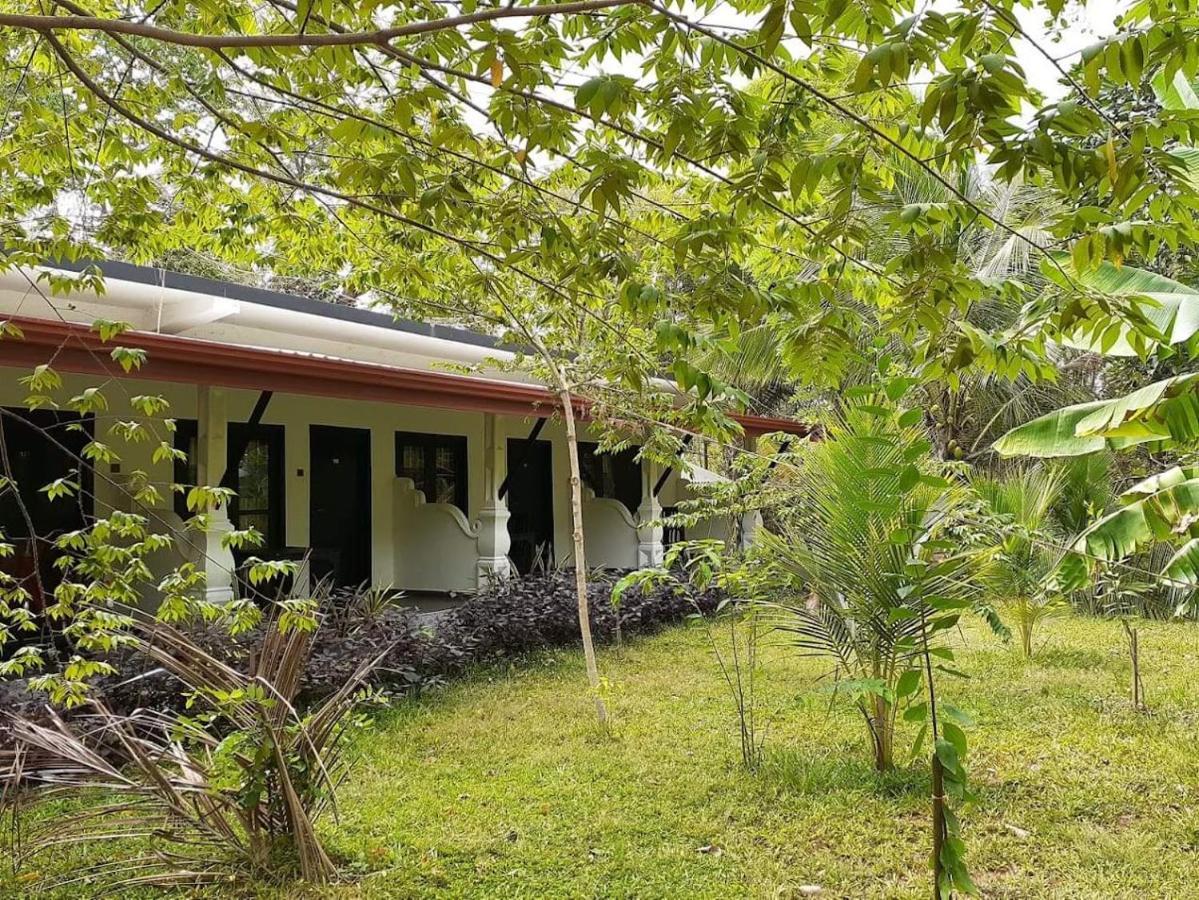 Amron Resort Sigiriya Exterior foto