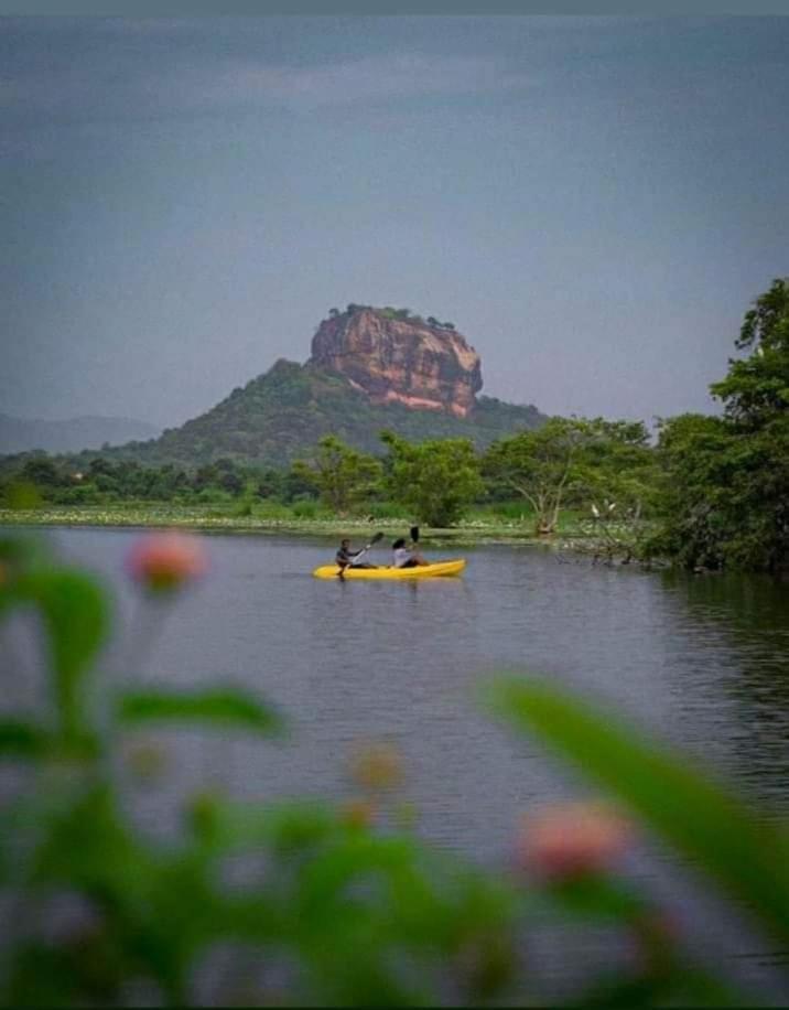 Amron Resort Sigiriya Quarto foto